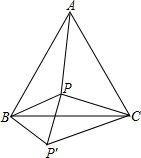 ��Ӣ�ҽ���