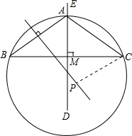 ��Ӣ�ҽ���