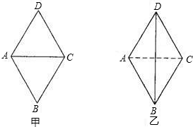 ��Ӣ�ҽ���