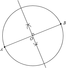 ��Ӣ�ҽ���