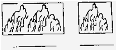 ��Ӣ�ҽ���