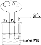 ��Ӣ�ҽ̾W(w��ng)