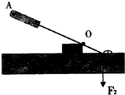 ��Ӣ�ҽ̾W(w��ng)