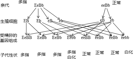 ��Ӣ�ҽ���