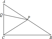 ��Ӣ�ҽ���