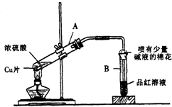 ��Ӣ�ҽ���