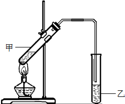 ��Ӣ�ҽ̾W(w��ng)