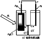 ��Ӣ�ҽ���