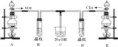 ��Ӣ�ҽ���