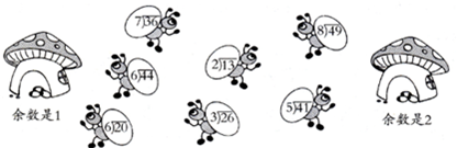 ��Ӣ�ҽ���