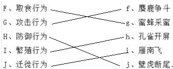 ��Ӣ�ҽ���