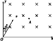 ��Ӣ�ҽ̾W(w��ng)