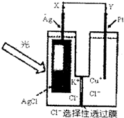 ��Ӣ�ҽ���