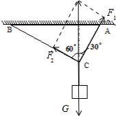 ��Ӣ�ҽ̾W(w��ng)