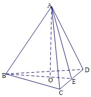 ��Ӣ�ҽ���