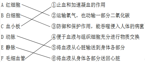 ��Ӣ�ҽ���