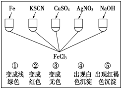 ��Ӣ�ҽ̾W(w��ng)