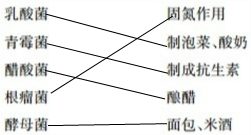 ��Ӣ�ҽ���