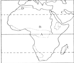 ��Ӣ�ҽ̾W(w��ng)