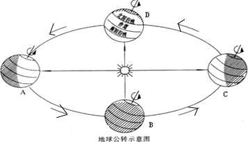 ��Ӣ�ҽ���