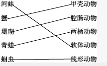 ��Ӣ�ҽ���