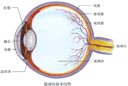 ��Ӣ�ҽ���