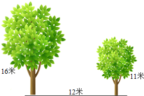 ��Ӣ�ҽ���