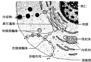  1 2 