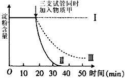 W020081211468997527252