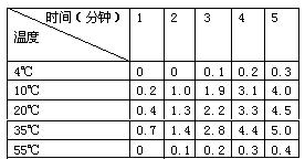 W020081211468997523912