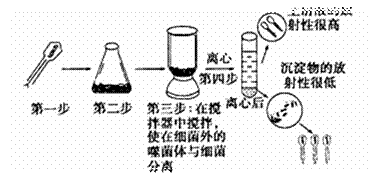 W020081211468997683914