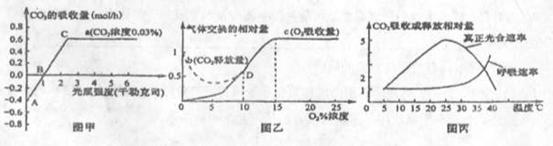 6ec8aac122bd4f6e