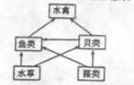 6ec8aac122bd4f6e
