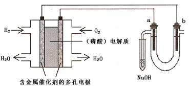 高考资源网(www.1010jiajiao.com)，中国最大的高考网站，您身边的高考专家。