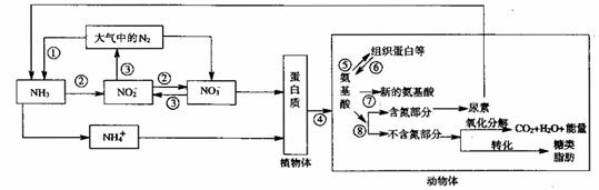 hw272