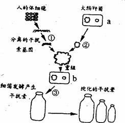 高考资源网( www.1010jiajiao.com)，中国最大的高考网站，您身边的高考专家。