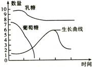 高考资源网( www.1010jiajiao.com)，中国最大的高考网站，您身边的高考专家。