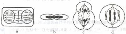 www.1010jiajiao.com