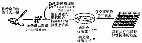 www.1010jiajiao.com