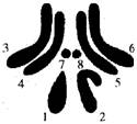 6ec8aac122bd4f6e