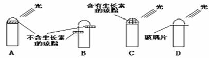 6ec8aac122bd4f6e