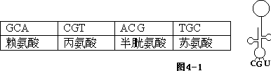 6ec8aac122bd4f6e