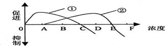 6ec8aac122bd4f6e