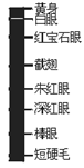 6ec8aac122bd4f6e