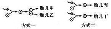 6ec8aac122bd4f6e