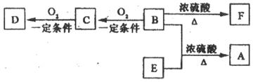 6ec8aac122bd4f6e