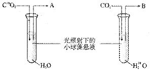 6ec8aac122bd4f6e