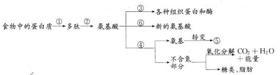 6ec8aac122bd4f6e