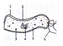 高考资源网(www.1010jiajiao.com)，中国最大的高考网站，您身边的高考专家。