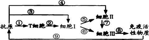 C:\Documents and Settings\Administrator\桌面\121.files\1211.gif